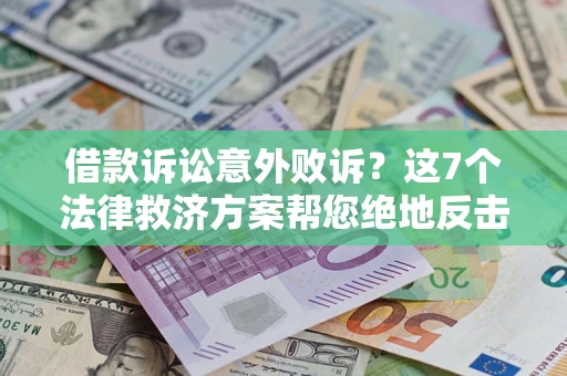 武汉借款诉讼意外败诉？这7个法律救济方案帮您绝地反击！