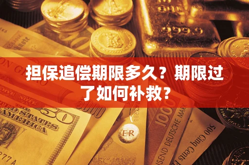 武汉担保追偿期限多久？期限过了如何补救？