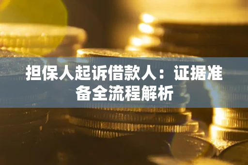 武汉担保人起诉借款人：证据准备全流程解析