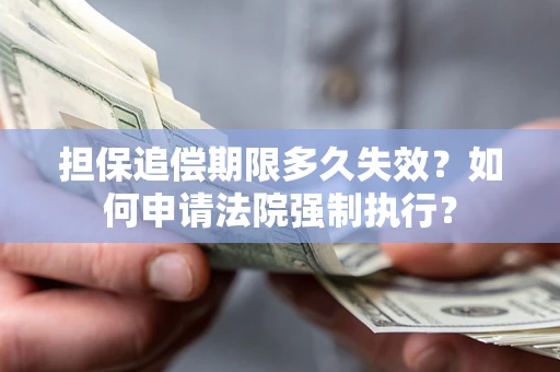 武汉担保追偿期限多久失效？如何申请法院强制执行？