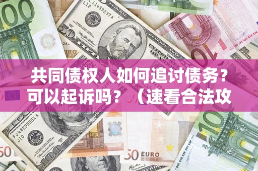 武汉共同债权人如何追讨债务？可以起诉吗？（速看合法攻略）