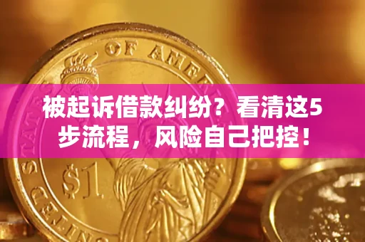 武汉被起诉借款纠纷？看清这5步流程，风险自己把控！